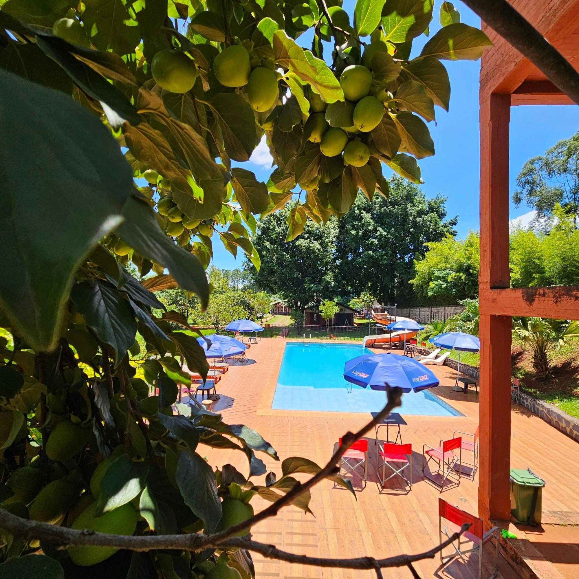 Cabanas El Refugio Del Mensu Porto Iguaçu Exterior foto