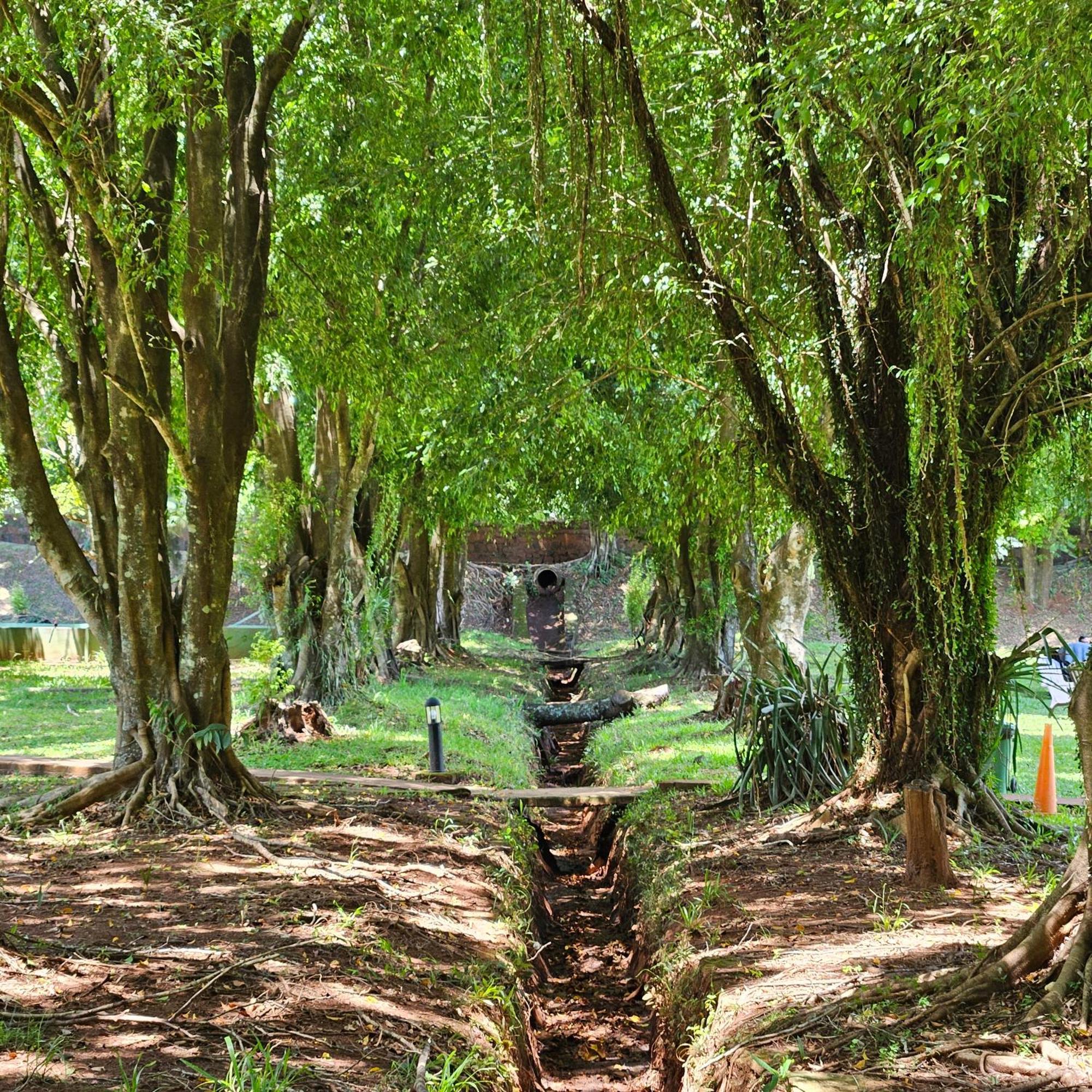 Cabanas El Refugio Del Mensu Porto Iguaçu Exterior foto